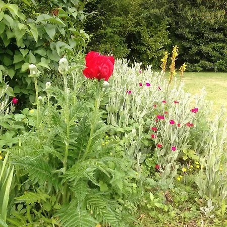 Nyaraló Les Grands Houx *